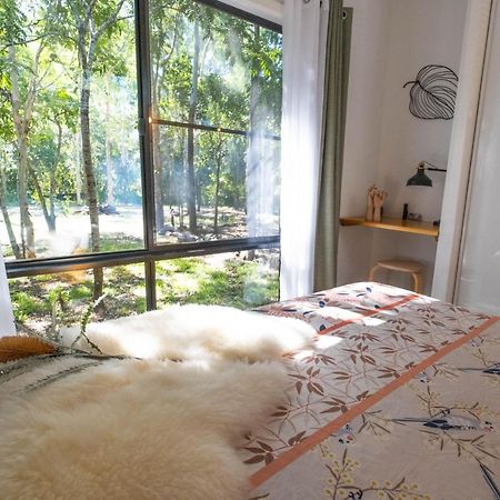 Airlie Beach Eco Cabins - Adults Only Esterno foto