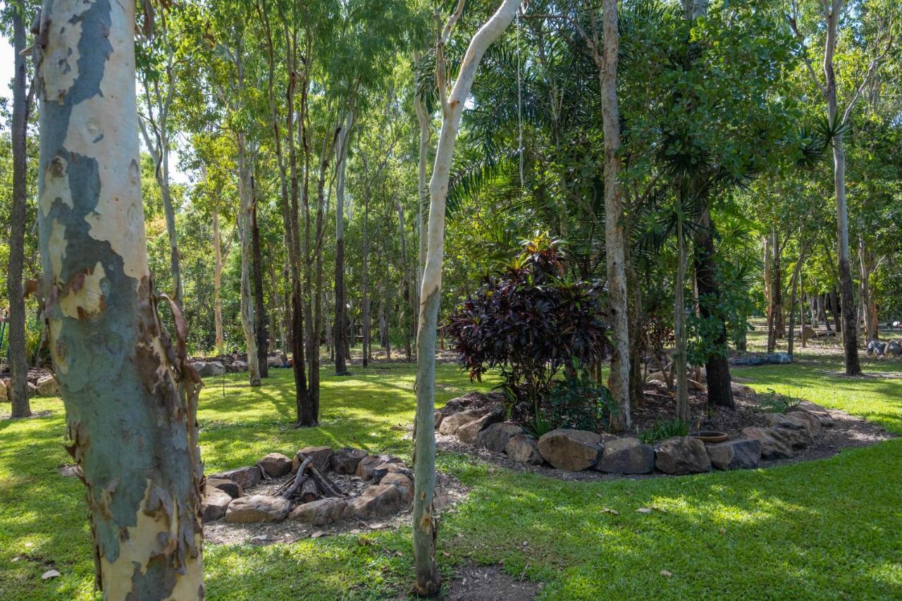 Airlie Beach Eco Cabins - Adults Only Esterno foto