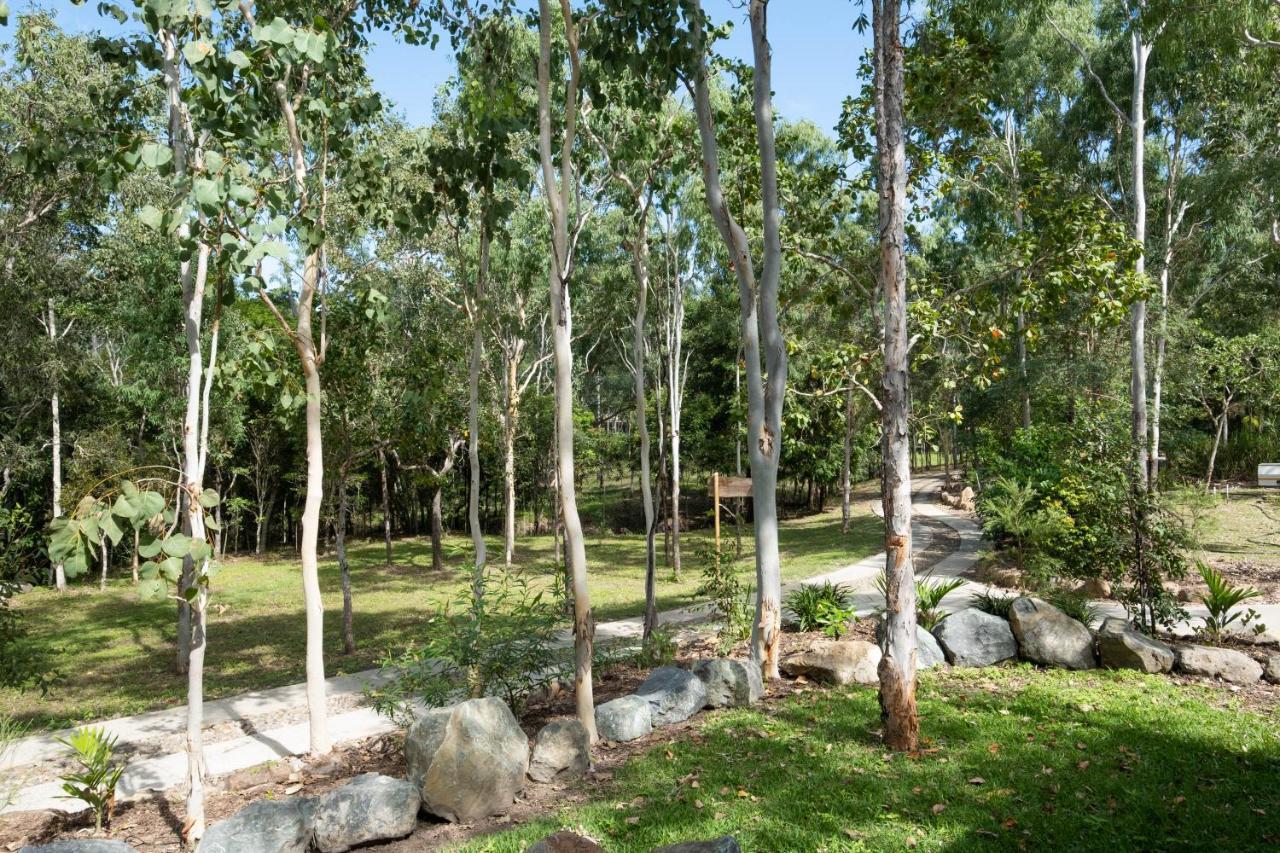Airlie Beach Eco Cabins - Adults Only Esterno foto
