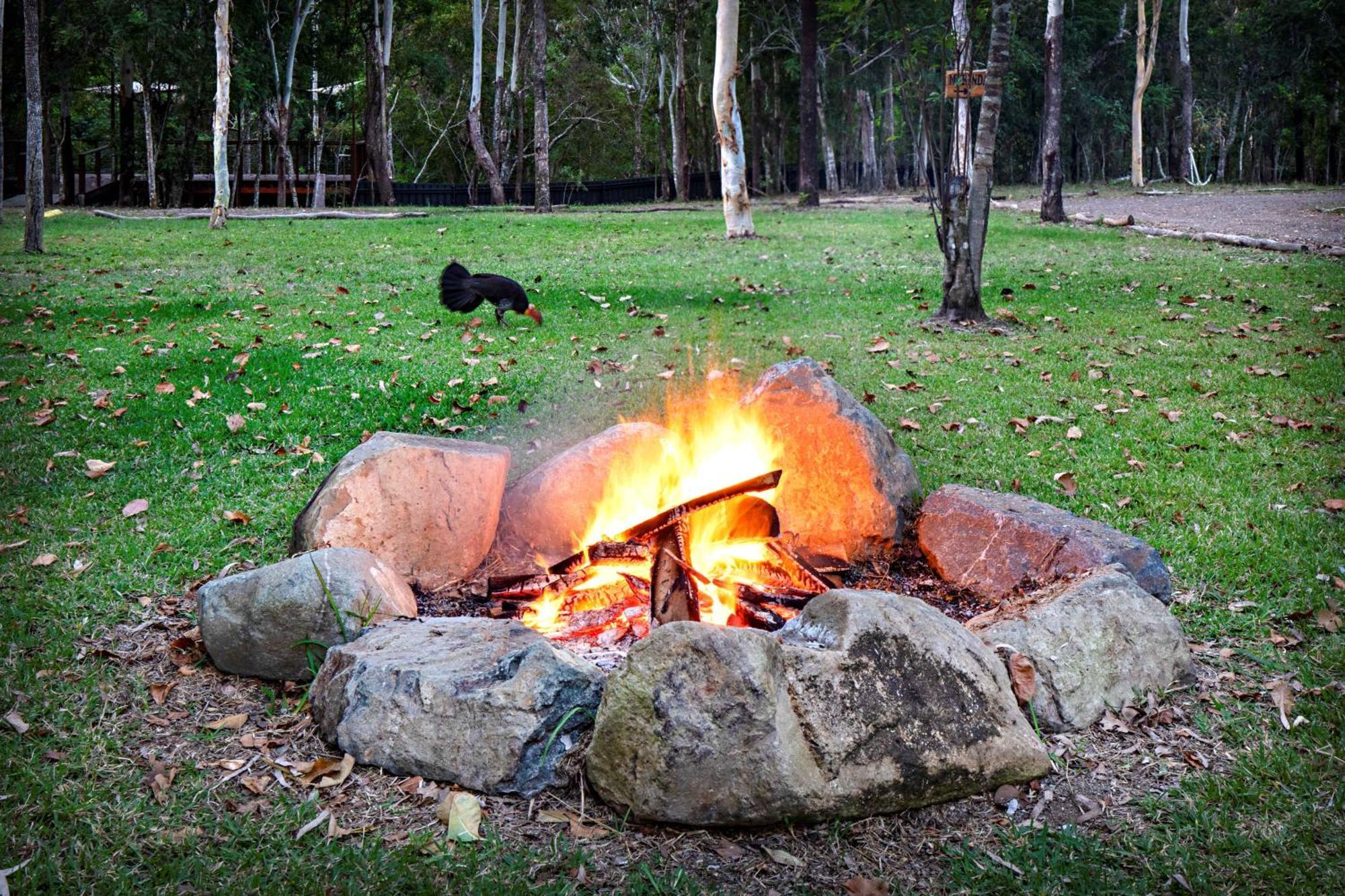Airlie Beach Eco Cabins - Adults Only Esterno foto